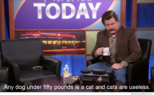 Any dog under 50 pounds is a cat – Ron Swanson