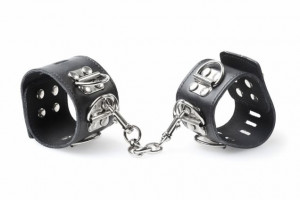 In the upcoming February issue of Elle UK, the Fifty Shades of Grey ...