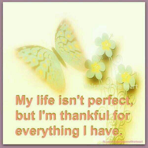 My life isn't perfect