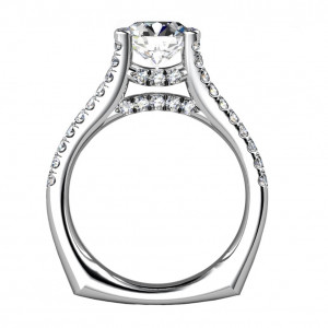 Cathedral Split Euro Shank Engagement Ring in 18K White Gold