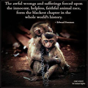 Macaques are often still taken away from their families to be kept as ...