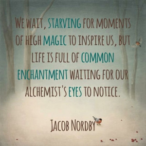 ... enchantment waiting for our alchemist's eyes to notice. ~ Jacob Nordby