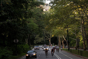 Central Park Field Dreams