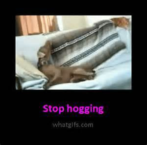 related pictures fun funny hilarious lol