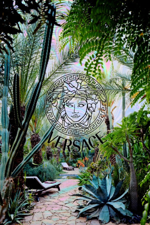 http://vuitton-versace-and-chanel.tumblr.com/
