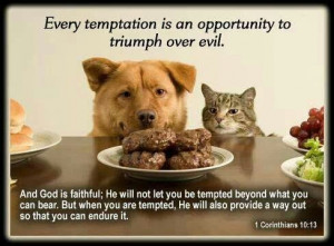 temptation-it's an opportunity to prevail over evil