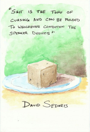 David Sedaris Quotes picture