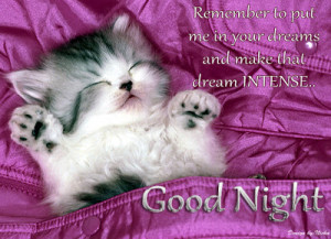 ... Awesome good night wallpaper ! Good night quotes ! Cute cat sleeping