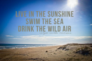 beaches quotes | Posted on July 24, 2012 by Christopher