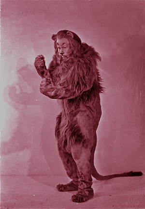 Related Pictures of the cowardly lion bert lahr i d wizard of oz fun ...