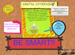 Digital Citizenship TEAC259