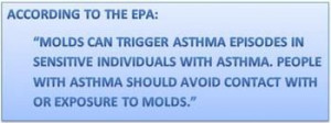 Preventative mold treatments and coatings are effective.