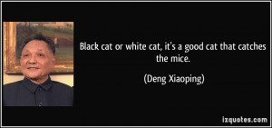 Black cat or white cat, it's a good cat that catches the mice. - Deng ...