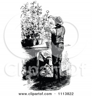 Black White Posters on Black And White Male Gardner Pruning Plants ...