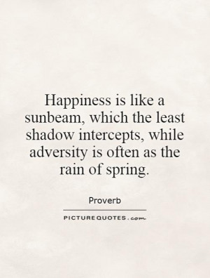 Rain Quotes Adversity Quotes Shadow Quotes Proverb Quotes