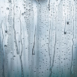 Mould Caused by Condensation