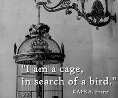 Franz Kafka Quotes | franz kafka, quotes, sayings, cage, search, bird ...