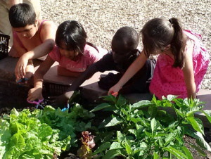 Facebook photo of children working in a Groundworks teaching garden