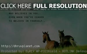 significance of friends true friendship is about putting your feet