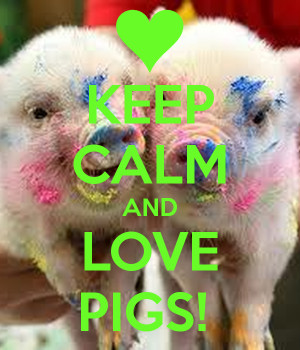 Keep Calm and Love Pigs