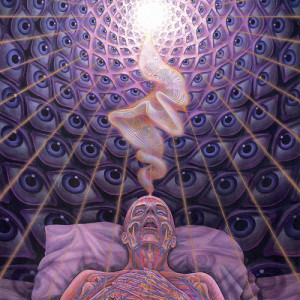 Death, Rebirth, and Reincarnation