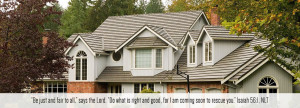 ... metal roofing so they end up investigating metal shingle roofing read