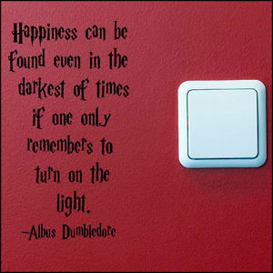 Harry Potter Dumbledore Light Quotes