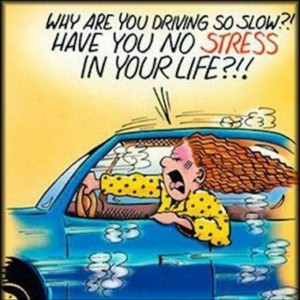 why are you driving so slow have you no stress in your life funny ...