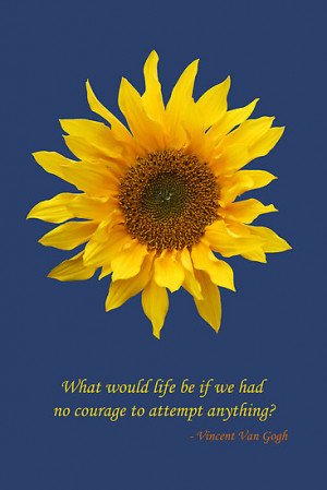 ... Galleries: Sunflower Quotes Tumblr , Sunflower Quotes And Sayings