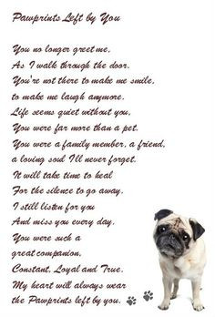 ... beautiful sentiment Favorite Quotes. Loss of a beloved pet. More