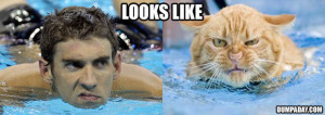 Funny Olympic Animal Pictures (10 Pics)