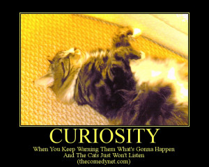 Lolcats 'n' Funny Pictures of Cats Motivational Posters