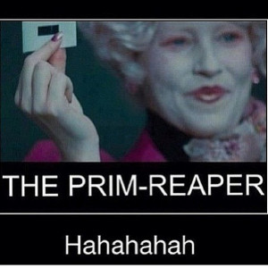 funny hunger games pictures