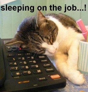 sleeping on the job sleeping on the job