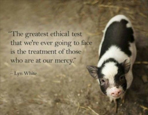 Found on Uploaded by user