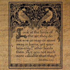 Look At the Birds Framed Bible Quote Bird Matthew 6 verse 26 Digital ...