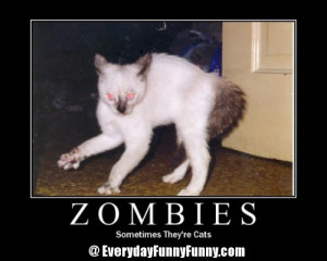 Funny Zombie pictures 8 Zombies...Sometimes Theyre Cats
