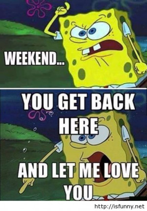 spongebob fun spongebob spongebob spongebob fun spongebob funny funny ...