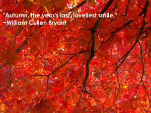 Autumn, the year’s last loveliest smile – William Cullen Bryant