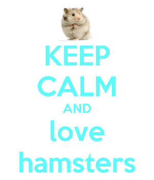 Keep Calm and Love Hamsters