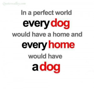 In a perfect world every dog would have a home quote