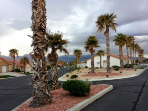 scenic view park mesquite
