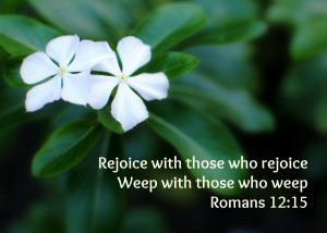Advent Photo-A-Day: Day 15, Rejoice