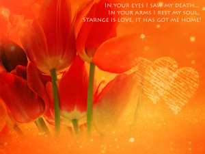 sweet love quotes wallpapers