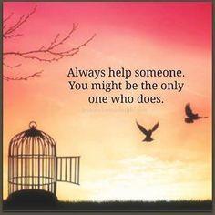 helping others quote more birds flying meditation quotes inspiration ...