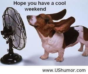 Have a cool weekend US Humor - Funny pictures, Quotes, Pics, Photos ...