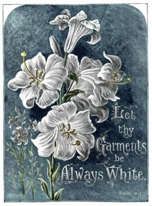 Famous bible quotes, meaningful, deep, sayings, white