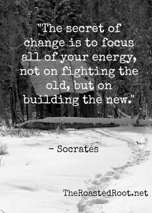 The Secret of change is to focus all of your energy, not on fighting ...