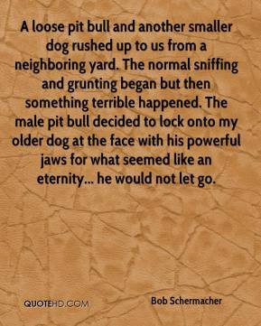 Pit bull Quotes