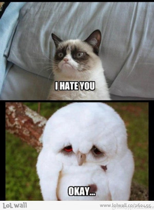 Grumpy Cat Vs. Sad Owl